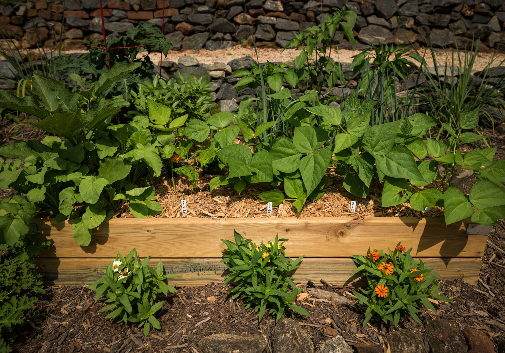Lisa Swarthout's Garden